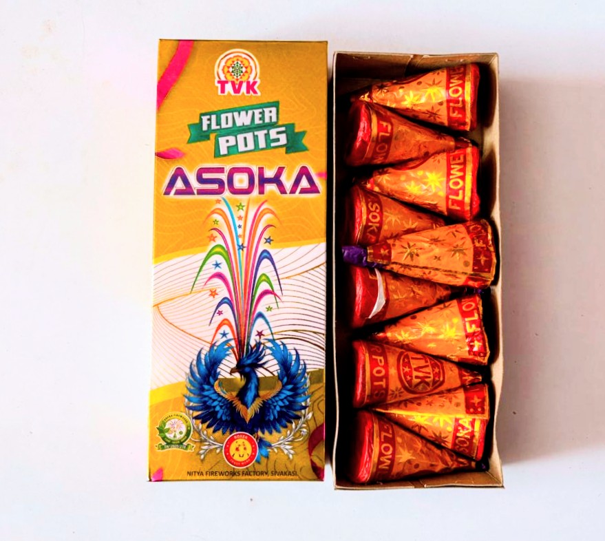 Flowerpots Ashoka (BOX)